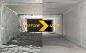 professional duct cleaning services